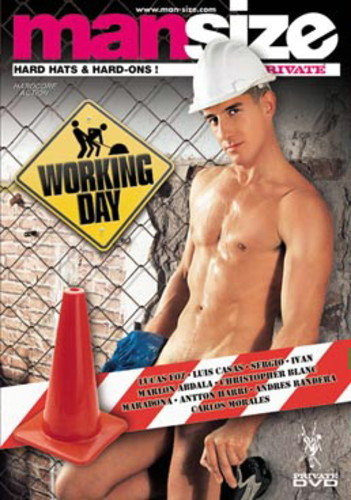 DVD PRIVATE MANSIZE Working Day