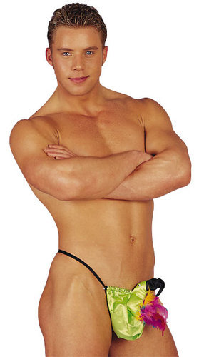 Bikini papagal S-L
