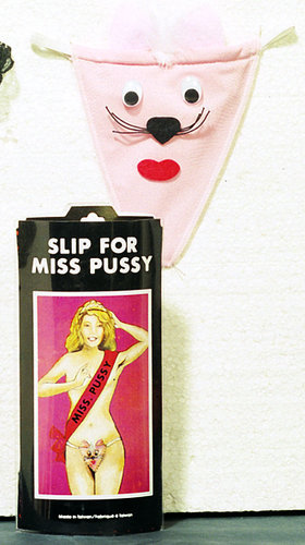 Sexy-Slip Pisica